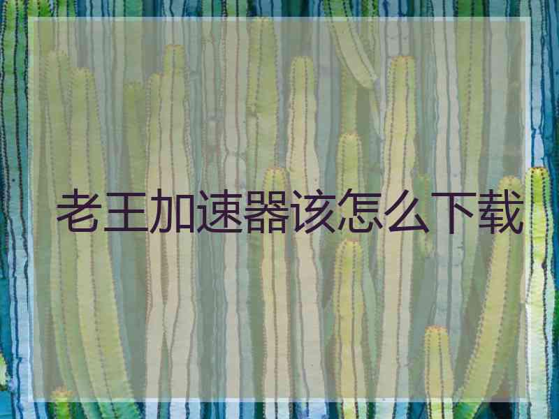 老王加速器该怎么下载