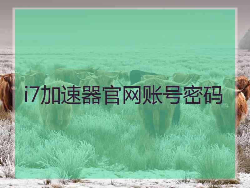 i7加速器官网账号密码