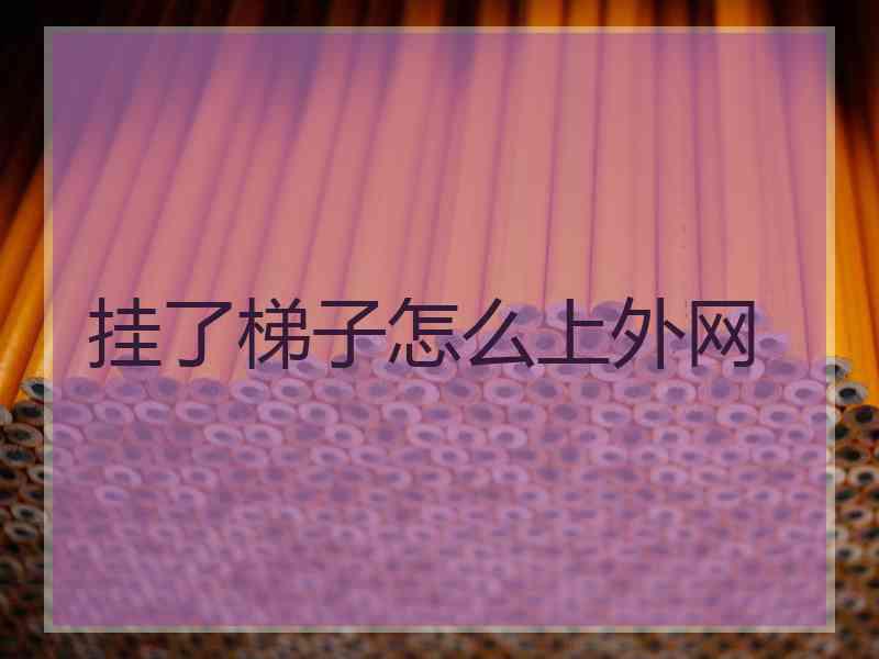 挂了梯子怎么上外网