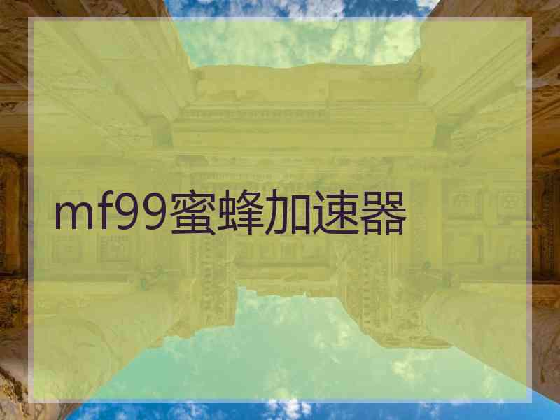 mf99蜜蜂加速器