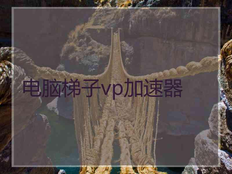 电脑梯子vp加速器