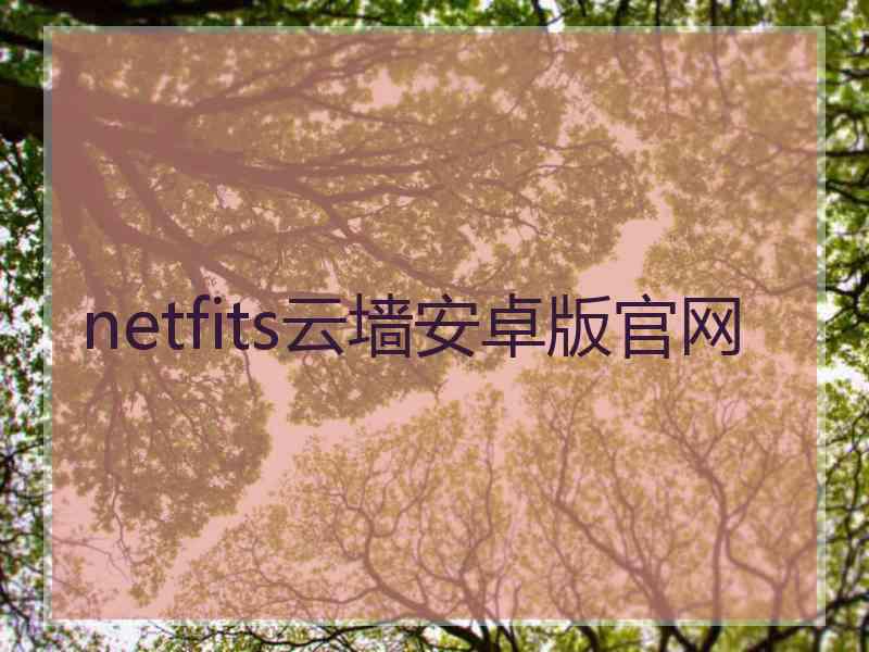 netfits云墙安卓版官网
