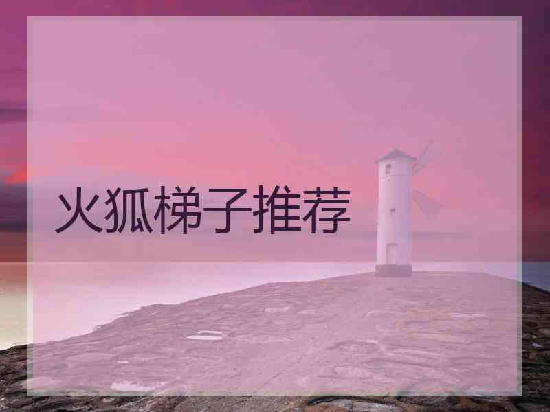 火狐梯子推荐