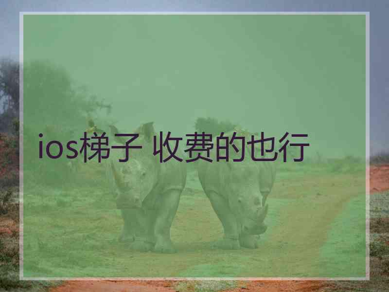 ios梯子 收费的也行