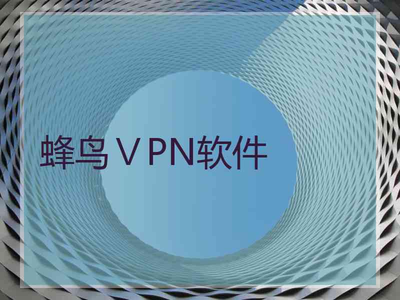 蜂鸟ⅤPN软件