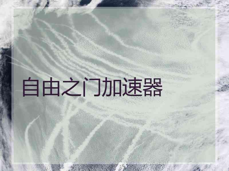自由之门加速器