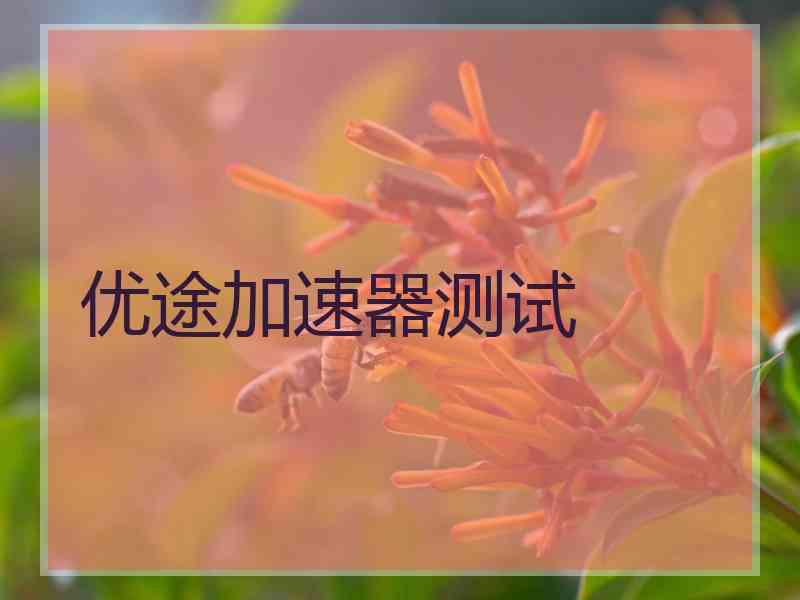 优途加速器测试