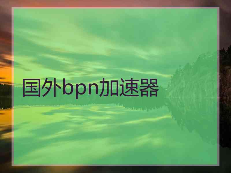 国外bpn加速器