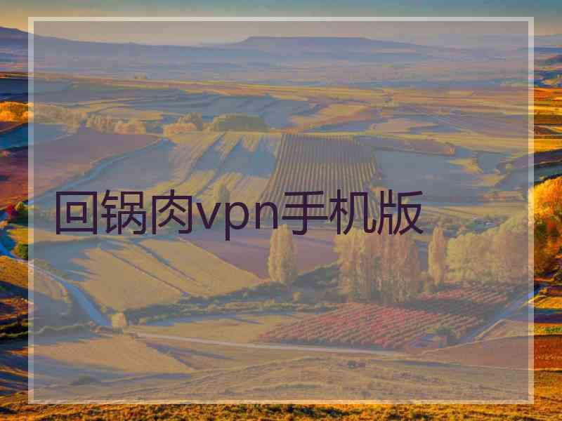 回锅肉vpn手机版