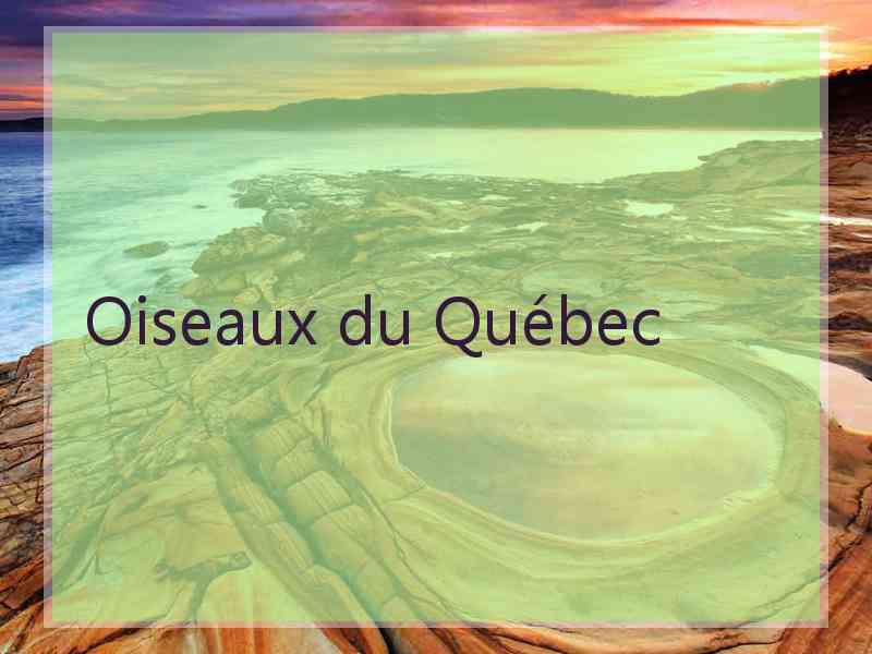 Oiseaux du Québec