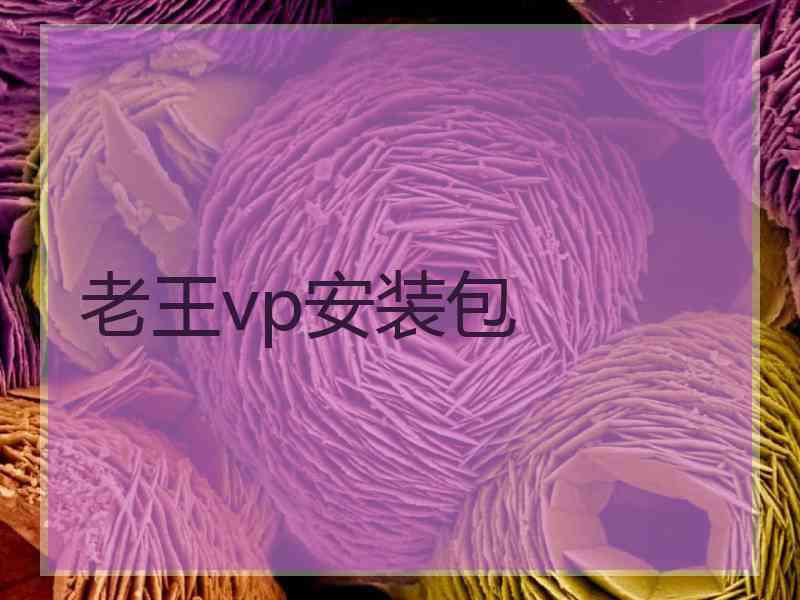 老王vp安装包