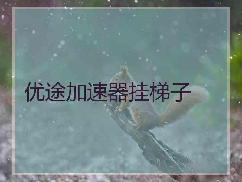 优途加速器挂梯子