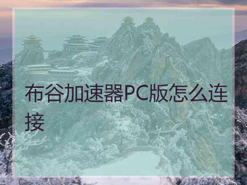 布谷加速器PC版怎么连接