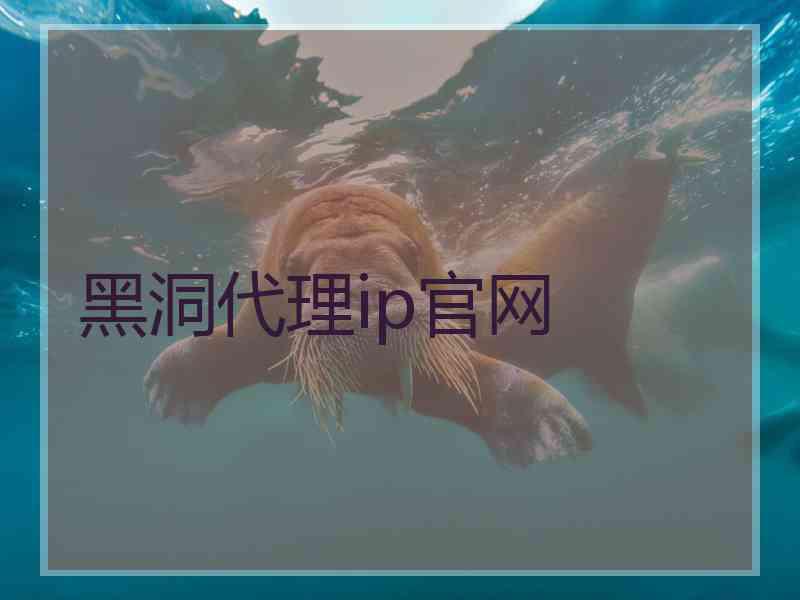 黑洞代理ip官网