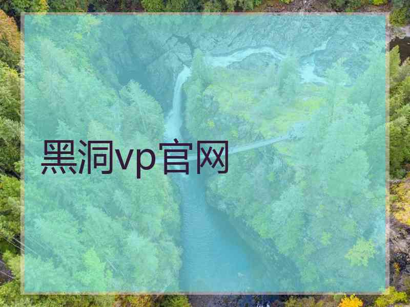 黑洞vp官网