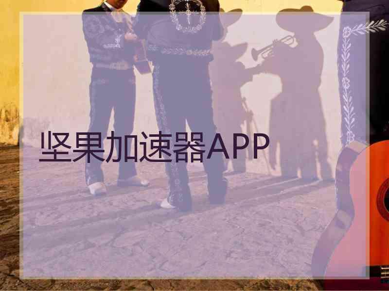坚果加速器APP