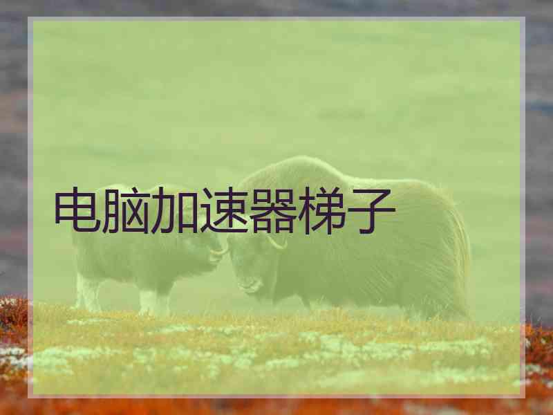 电脑加速器梯子