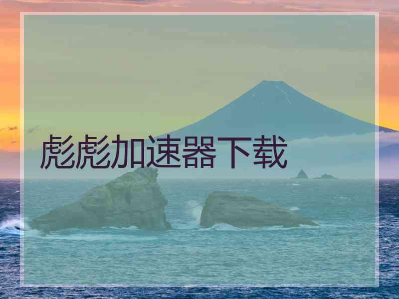 彪彪加速器下载