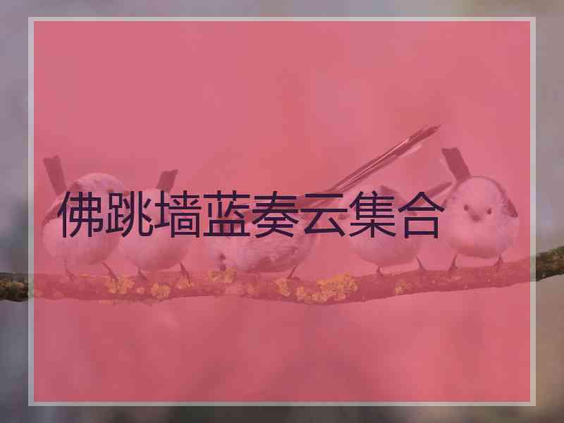 佛跳墙蓝奏云集合