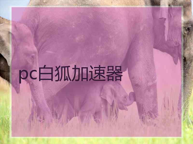 pc白狐加速器