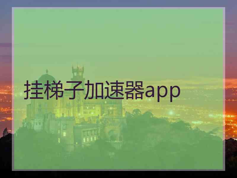 挂梯子加速器app