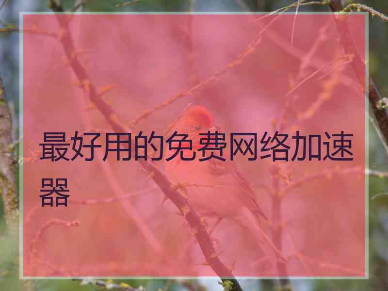 最好用的免费网络加速器
