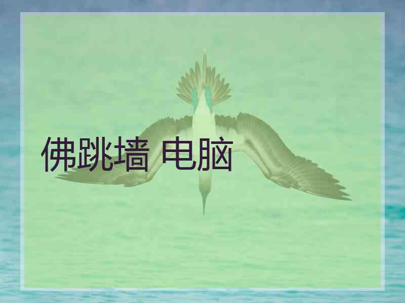 佛跳墙 电脑