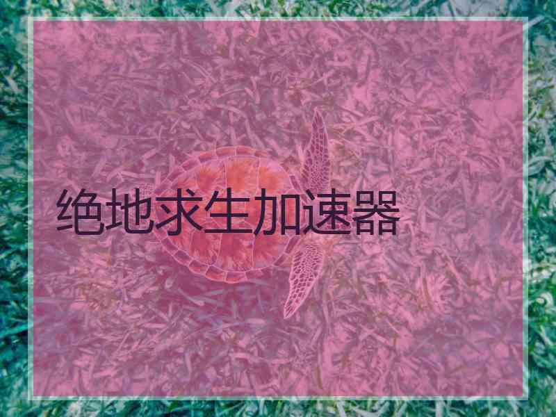绝地求生加速器