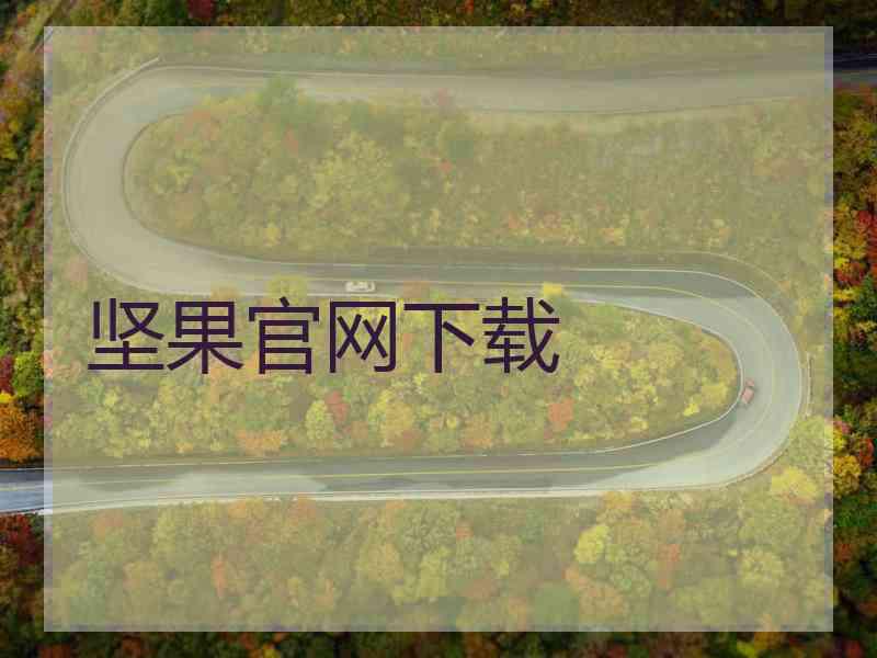 坚果官网下载