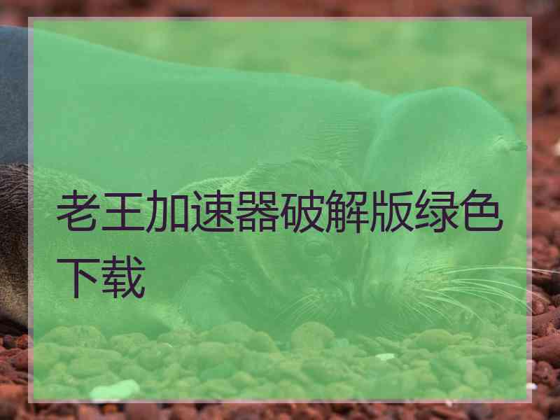 老王加速器破解版绿色下载