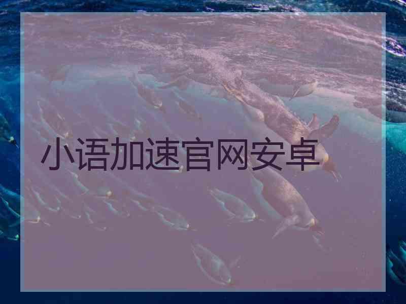 小语加速官网安卓