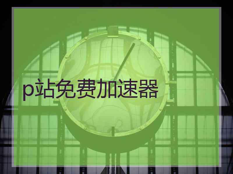 p站免费加速器