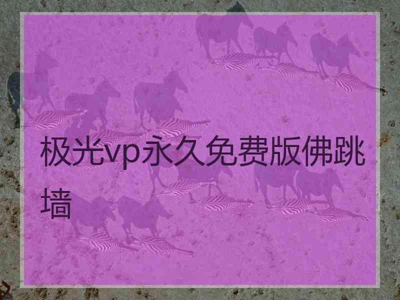 极光vp永久免费版佛跳墙
