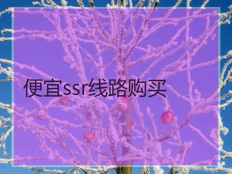 便宜ssr线路购买