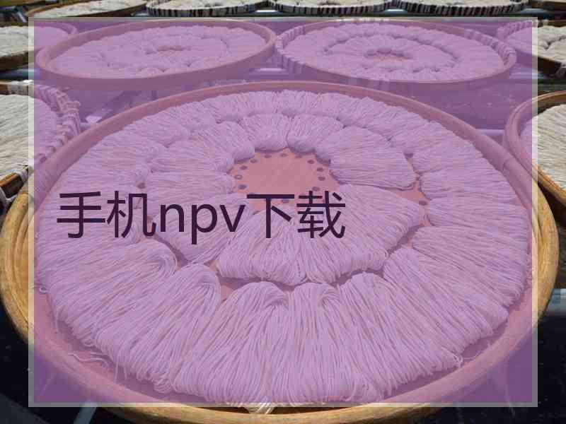 手机npv下载