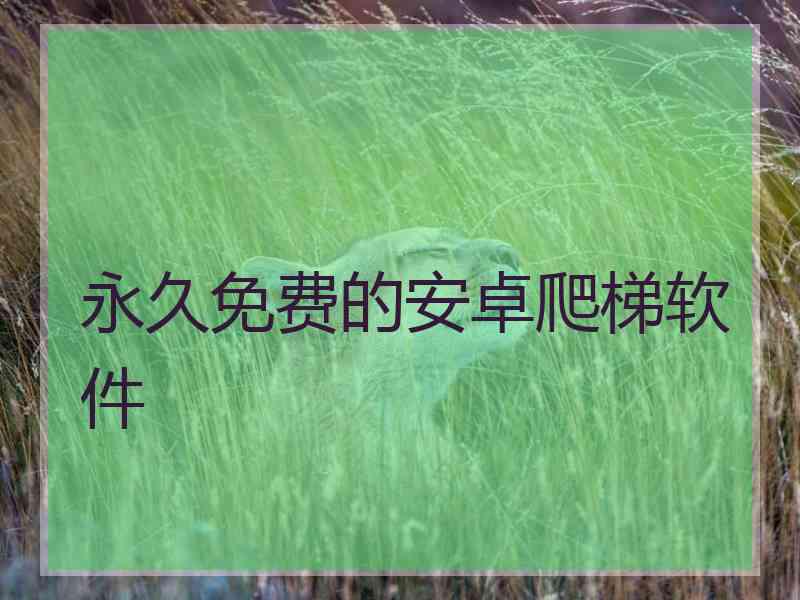 永久免费的安卓爬梯软件