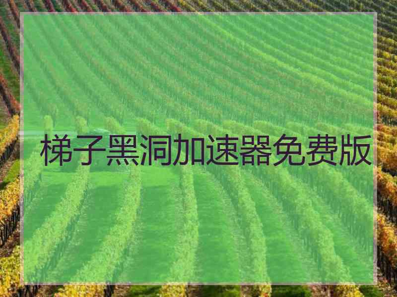 梯子黑洞加速器免费版