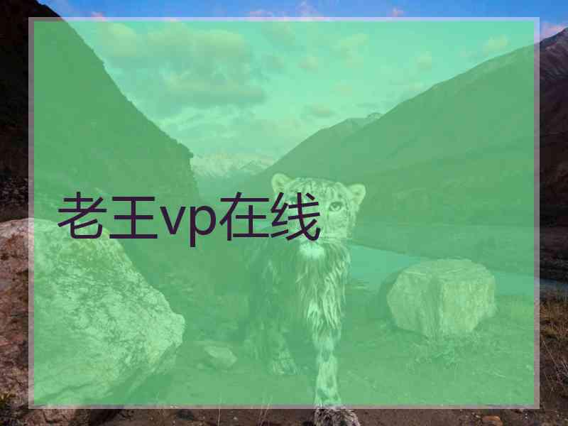 老王vp在线