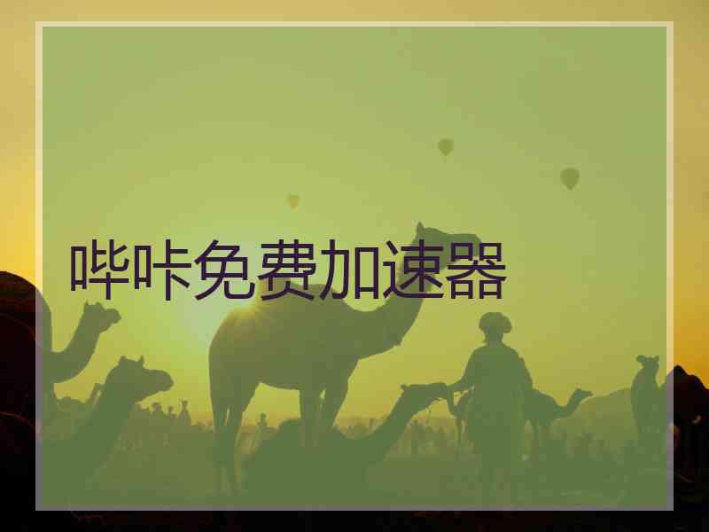 哔咔免费加速器