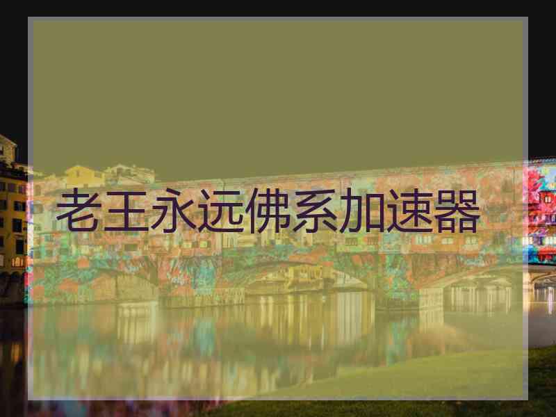老王永远佛系加速器