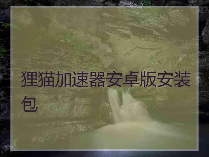 狸猫加速器安卓版安装包