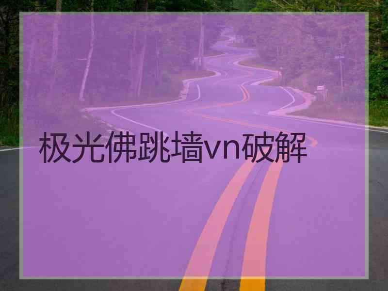 极光佛跳墙vn破解