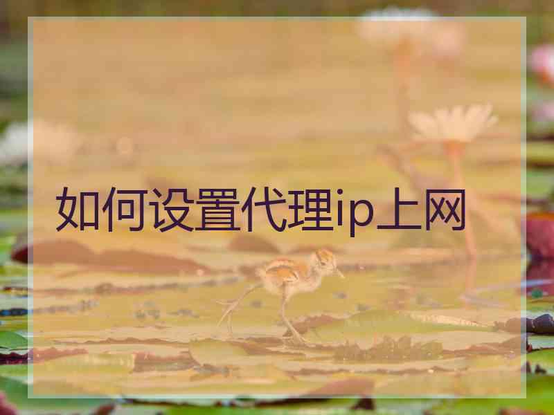 如何设置代理ip上网