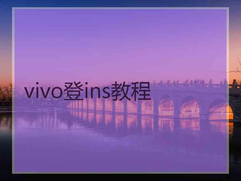 vivo登ins教程