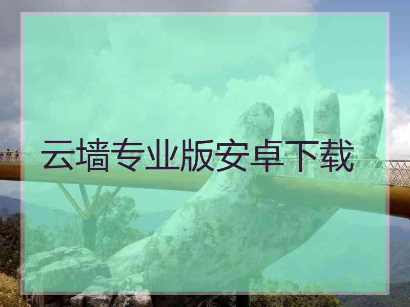 云墙专业版安卓下载