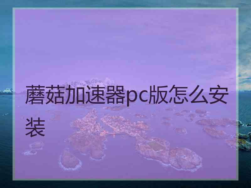 蘑菇加速器pc版怎么安装