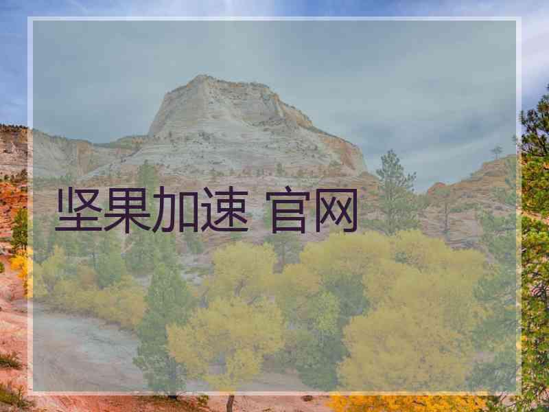 坚果加速 官网