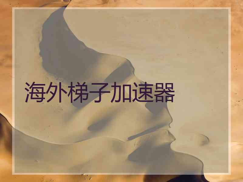 海外梯子加速器