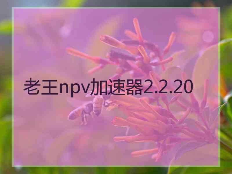 老王npv加速器2.2.20