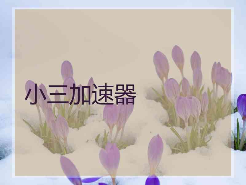小三加速器